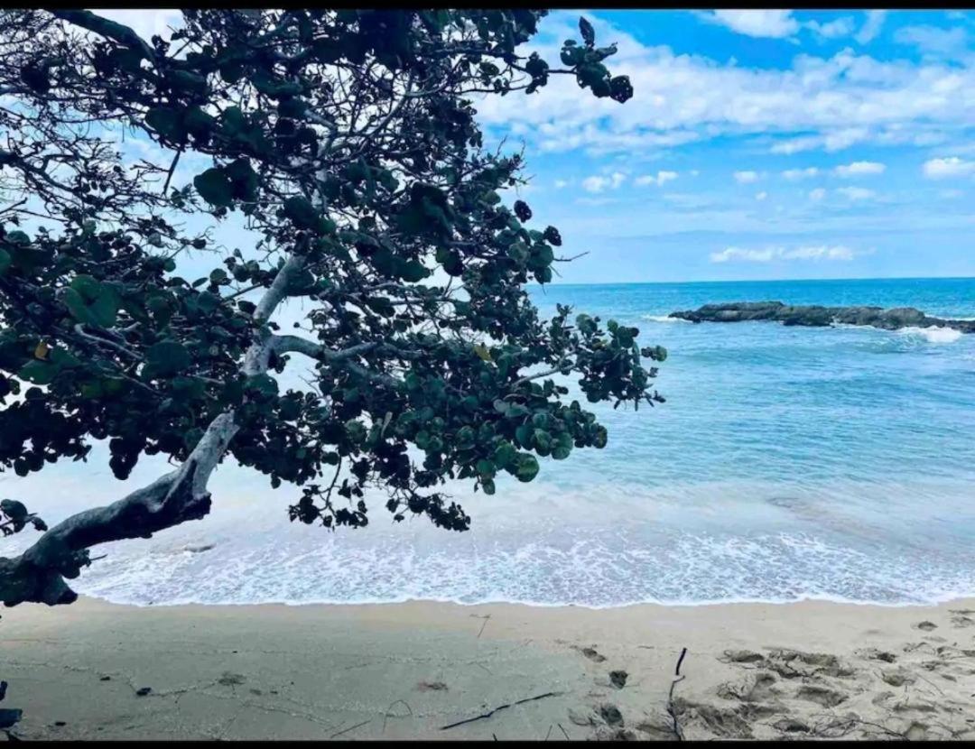 Paradise Oasis At Oceanpointe - Pool And Free Parking Lucea Exterior foto