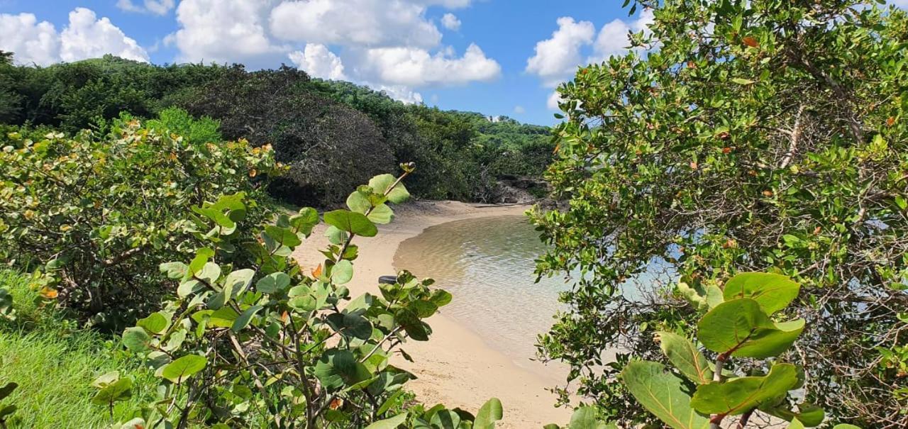 Paradise Oasis At Oceanpointe - Pool And Free Parking Lucea Exterior foto