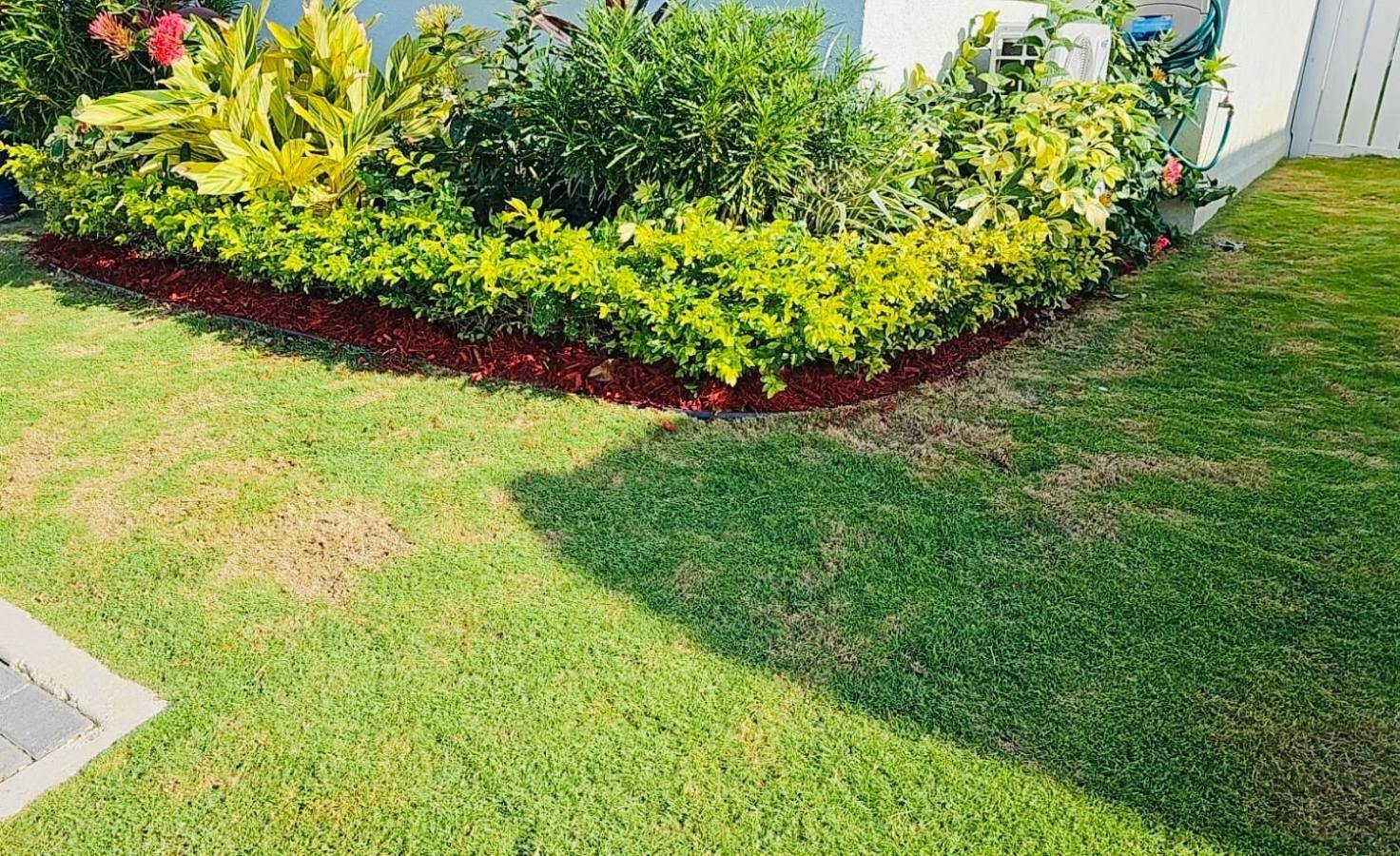 Paradise Oasis At Oceanpointe - Pool And Free Parking Lucea Exterior foto